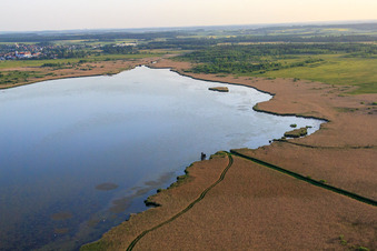 Schrägluftbild von Federsee in Bad Buchau im Bundesland Baden-Württemberg, Deutschland