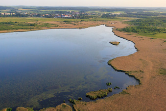 Federsee in Bad Buchau im Bundesland Baden-Württemberg, Deutschland von oben
