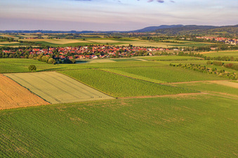 Felder am Morgen vor dem Dorf im Ortsteil Drusweiler in Kapellen-Drusweiler im Bundesland Rheinland-Pfalz, Deutschland