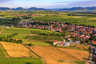 Gewerbegebiet In den Gerlachsgärten in Insheim im Bundesland Rheinland-Pfalz, Deutschland aus der Luft