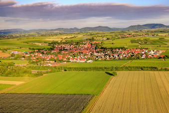Dorfansicht am Morgen aus Osten in Insheim im Bundesland Rheinland-Pfalz, Deutschland