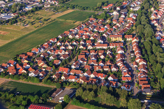 Im Einchelhorst in Herxheim bei Landau im Bundesland Rheinland-Pfalz, Deutschland