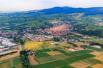 Ortsansicht am Kaiserstuhl aus Norden in Bahlingen am Kaiserstuhl im Bundesland Baden-Württemberg, Deutschland