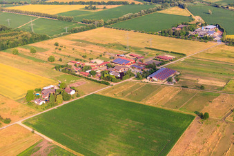 Pferdepension Keller in Gottenheim im Bundesland Baden-Württemberg, Deutschland