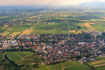 Weinbergstr in Heitersheim im Bundesland Baden-Württemberg, Deutschland