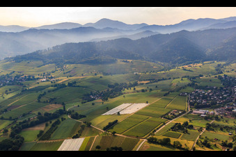 Weinbergslandschaft am Schwarzwaldrand im Ortsteil Britzingen in Müllheim im Markgräflerland im Bundesland Baden-Württemberg, Deutschland