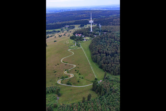Sommerrodelbahn Hoherodskopf im Ortsteil Breungeshain in Schotten im Bundesland Hessen, Deutschland