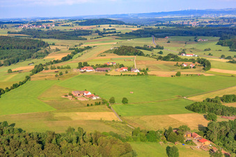 Gold Leaf Acres Quarter Horses im Ortsteil Jossa in Hosenfeld im Bundesland Hessen, Deutschland