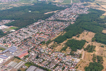 Stadtgebiet mit Außenbezirken und Innenstadtbereich in Maxdorf im Bundesland Rheinland-Pfalz, Deutschland