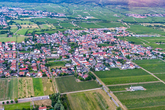 Niederkirchen bei Deidesheim von Osten im Bundesland Rheinland-Pfalz, Deutschland