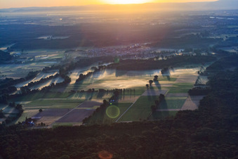 Morgennebel über den Feldern zwischen Speyerbach und Kropsbach in Harthausen im Bundesland Rheinland-Pfalz, Deutschland