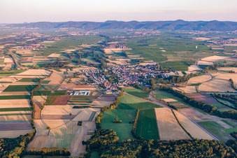 Geinsheim von Osten in Neustadt an der Weinstraße im Bundesland Rheinland-Pfalz, Deutschland von oben