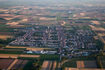 Luftbild von Ortsansicht der Straßen und Häuser der Wohngebiete in Böhl-Iggelheim im Bundesland Rheinland-Pfalz, Deutschland