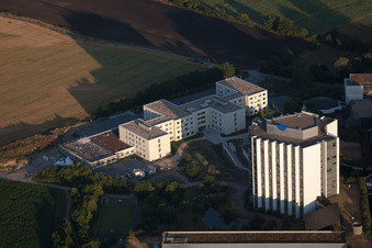 Ortsteil Oggersheim in Ludwigshafen am Rhein im Bundesland Rheinland-Pfalz, Deutschland aus der Drohnenperspektive