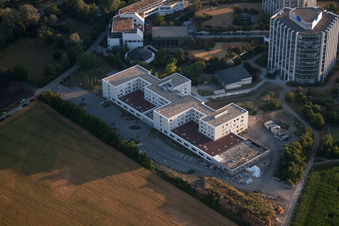 Ortsteil Oggersheim in Ludwigshafen am Rhein im Bundesland Rheinland-Pfalz, Deutschland aus der Drohnenperspektive