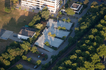 Oggersheim, BG-Klinik in Ludwigshafen am Rhein im Bundesland Rheinland-Pfalz, Deutschland aus der Luft betrachtet