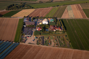 P.+H. Fehmel Gemüsebau in Mutterstadt im Bundesland Rheinland-Pfalz, Deutschland