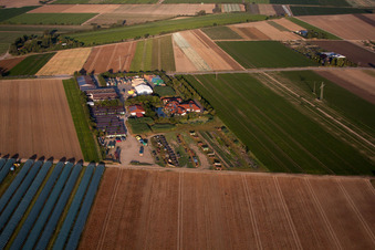 Mutterstadt im Bundesland Rheinland-Pfalz, Deutschland vom Flugzeug aus