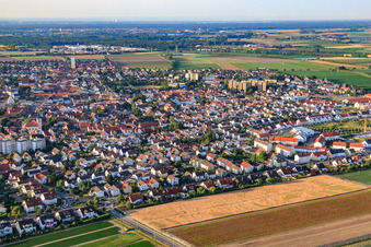 Luftbild von Medardusring in Mutterstadt im Bundesland Rheinland-Pfalz, Deutschland