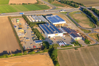 Luftbild von Gemüse Renner V+V GmbH in Mutterstadt im Bundesland Rheinland-Pfalz, Deutschland