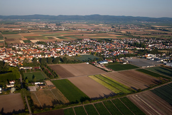 Ortsteil Dannstadt in Dannstadt-Schauernheim im Bundesland Rheinland-Pfalz, Deutschland aus der Luft