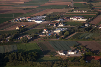 Ortsteil Dannstadt in Dannstadt-Schauernheim im Bundesland Rheinland-Pfalz, Deutschland vom Flugzeug aus