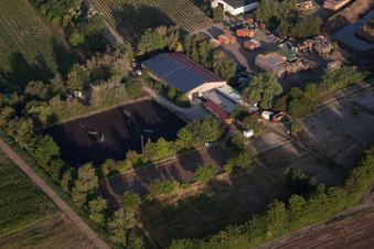 Pferdesportverein Dannstadter Höhe e.V in Dannstadt-Schauernheim im Bundesland Rheinland-Pfalz, Deutschland