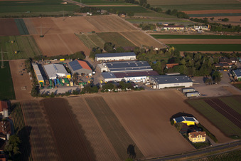Havita Frischsalate im Ortsteil Dannstadt in Dannstadt-Schauernheim im Bundesland Rheinland-Pfalz, Deutschland
