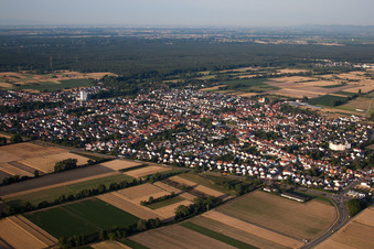 Ortsansicht der Straßen und Häuser der Wohngebiete in Böhl-Iggelheim im Bundesland Rheinland-Pfalz, Deutschland von oben