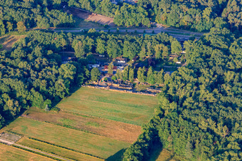 Brennholz-Hassloch in Haßloch im Bundesland Rheinland-Pfalz, Deutschland