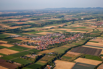 Dorf - Ansicht am Rande von landwirtschaftlichen Feldern und Nutzflächen in Gommersheim im Bundesland Rheinland-Pfalz, Deutschland