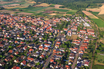 Austr in Zeiskam im Bundesland Rheinland-Pfalz, Deutschland