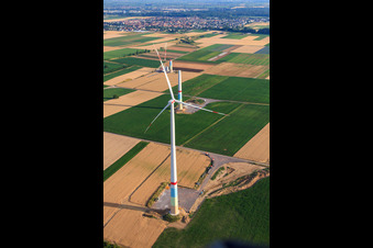 Windparkbaustellen in Offenbach an der Queich im Bundesland Rheinland-Pfalz, Deutschland aus der Vogelperspektive