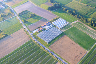 Luftbild von Sandhof in Herxheim bei Landau im Bundesland Rheinland-Pfalz, Deutschland