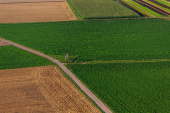 Luftbild von Stehlen am Pfälzer Panoramabänkel in Herxheim bei Landau im Bundesland Rheinland-Pfalz, Deutschland