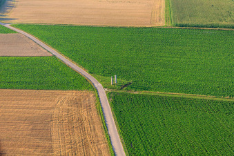 Schrägluftbild von Stehlen am Pfälzer Panoramabänkel in Herxheim bei Landau im Bundesland Rheinland-Pfalz, Deutschland