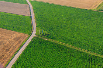 Stehlen am Pfälzer Panoramabänkel in Herxheim bei Landau im Bundesland Rheinland-Pfalz, Deutschland aus der Luft
