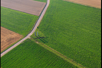 Stehlen am Pfälzer Panoramabänkel in Herxheim bei Landau im Bundesland Rheinland-Pfalz, Deutschland vom Flugzeug aus