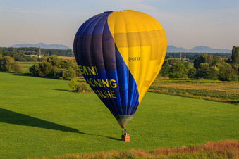 Landung eines Heissluftballons D-OTKA in Erlenbach bei Kandel im Bundesland Rheinland-Pfalz, Deutschland aus der Luft