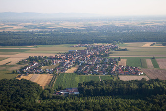 Hayna von Süden in Herxheim bei Landau im Bundesland Rheinland-Pfalz, Deutschland