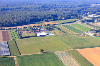 Drohnenbild von Fussballgolfpark Südpfalz auf dem Adamshof Kandel im Bundesland Rheinland-Pfalz, Deutschland