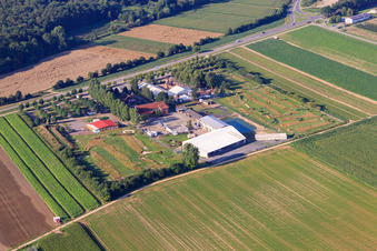 Fussballgolfpark Südpfalz auf dem Adamshof Kandel im Bundesland Rheinland-Pfalz, Deutschland aus der Drohnenperspektive