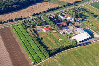 Fussballgolfpark Südpfalz auf dem Adamshof Kandel im Bundesland Rheinland-Pfalz, Deutschland von einer Drohne aus