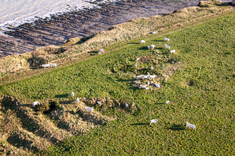 Veaus presale in Saint-Quentin-la-Motte-Croix-au-Bailly im Bundesland Somme, Frankreich