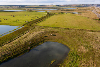 Schrägluftbild von Weiden hinter dem Deich in Woignarue im Bundesland Somme, Frankreich