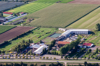 Adamshof Fußgolfanlage in Kandel im Bundesland Rheinland-Pfalz, Deutschland