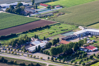 Schrägluftbild von Adamshof Fußgolfanlage in Kandel im Bundesland Rheinland-Pfalz, Deutschland