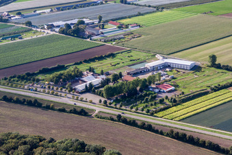 Adamshof Fußgolfanlage in Kandel im Bundesland Rheinland-Pfalz, Deutschland von oben