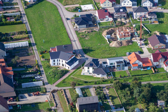 Im Tabakfeld in Hatzenbühl im Bundesland Rheinland-Pfalz, Deutschland