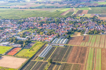 Weingarten im Bundesland Rheinland-Pfalz, Deutschland vom Flugzeug aus